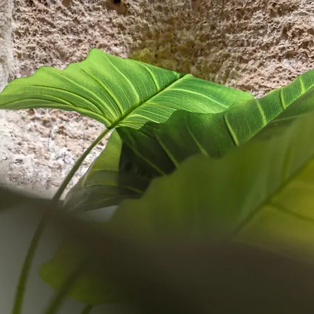 Apartman La Casetta In Centro *