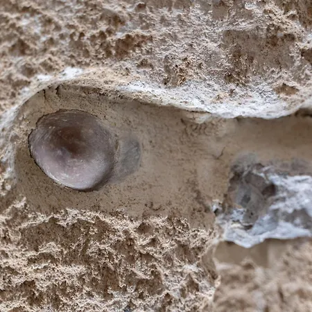 La Casetta In Centro